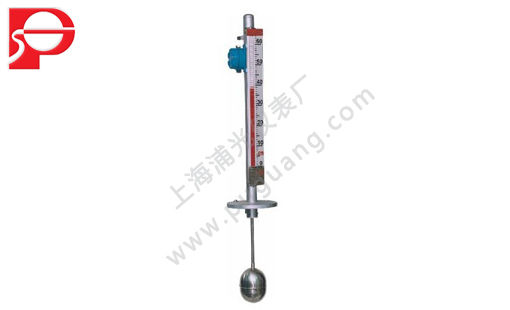 頂裝式磁翻板液位計(jì)